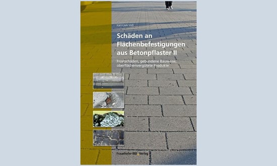 blog-detail-referent-eltersberg-Voss_Schaeden_am-Betonpflaster_2